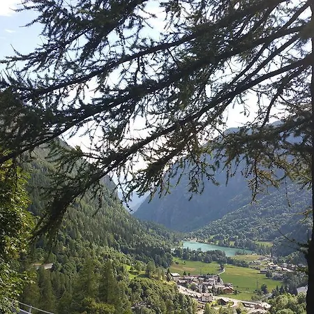 Maisongorret
